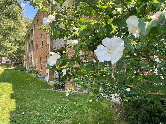 Grassy area outside the patio.