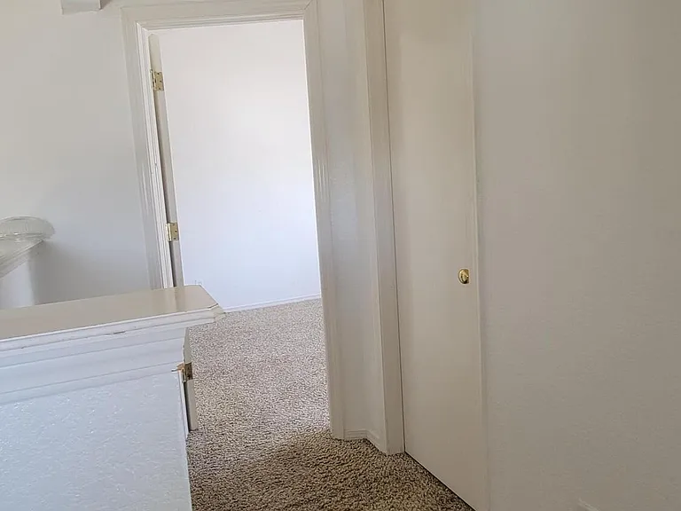 11029 Wedge Ln — Photo 24