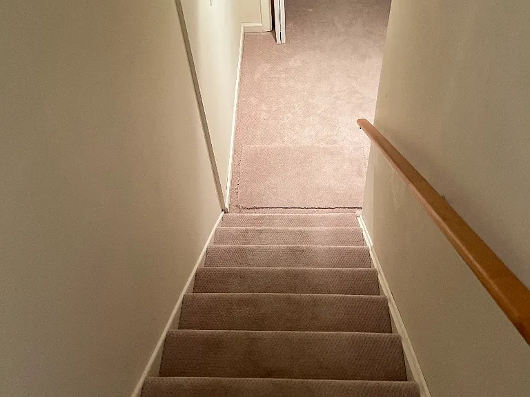 1124 Fern Hollow Dr — Photo 20