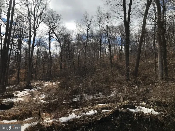 39 Mason Dixon Trl, Fairfield, PA 17320