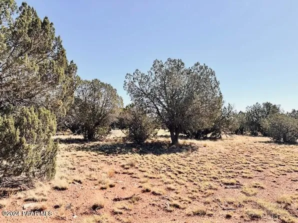 296S W Rocky Top Rd, Seligman, AZ 86337
