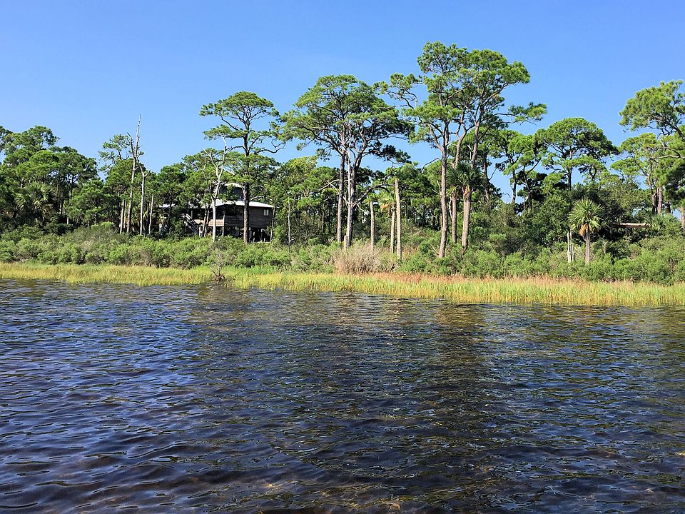 1st image of Hibiscus Dr