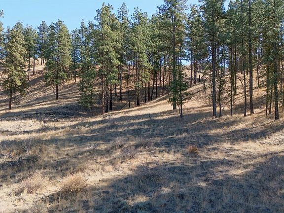 5th image of 54 Wolf Holler Road