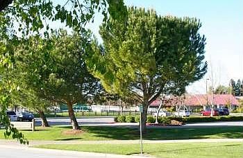 2nd image of 5985 Corte Arboles