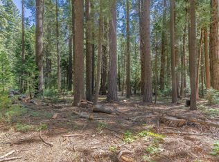 265 Margaret Dr, Twin Bridges, CA 95735