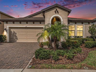 4016 Cadence Loop, Land O Lakes, FL, 34638