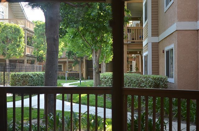 Patio View
