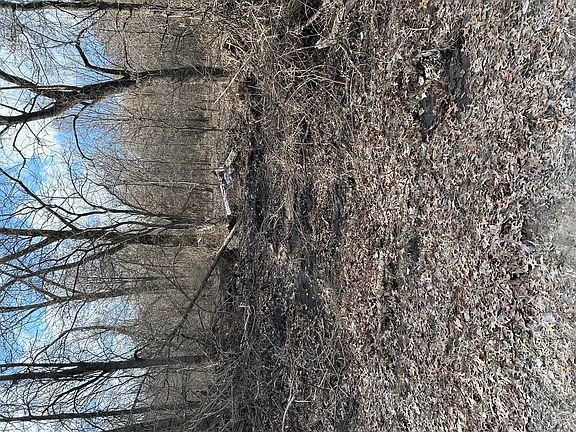 2nd image of 15500 S 15500e Rd