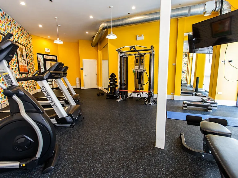 OA Lux 1650 Adams Gym