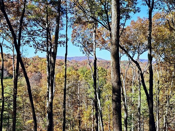 4th image of 5 Gold Ridge Trl