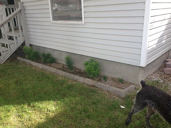 Flower bed in front of house