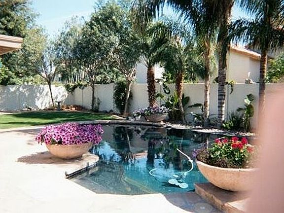 "Lagoon" style pool