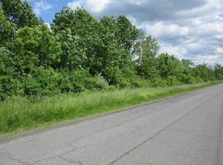 0 Benson Rd, Lansing, NY 14882