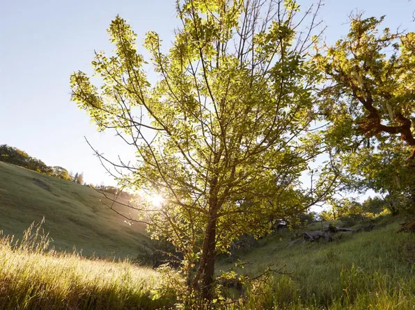 18574 Tomki Rd, Redwood Valley, CA 95470