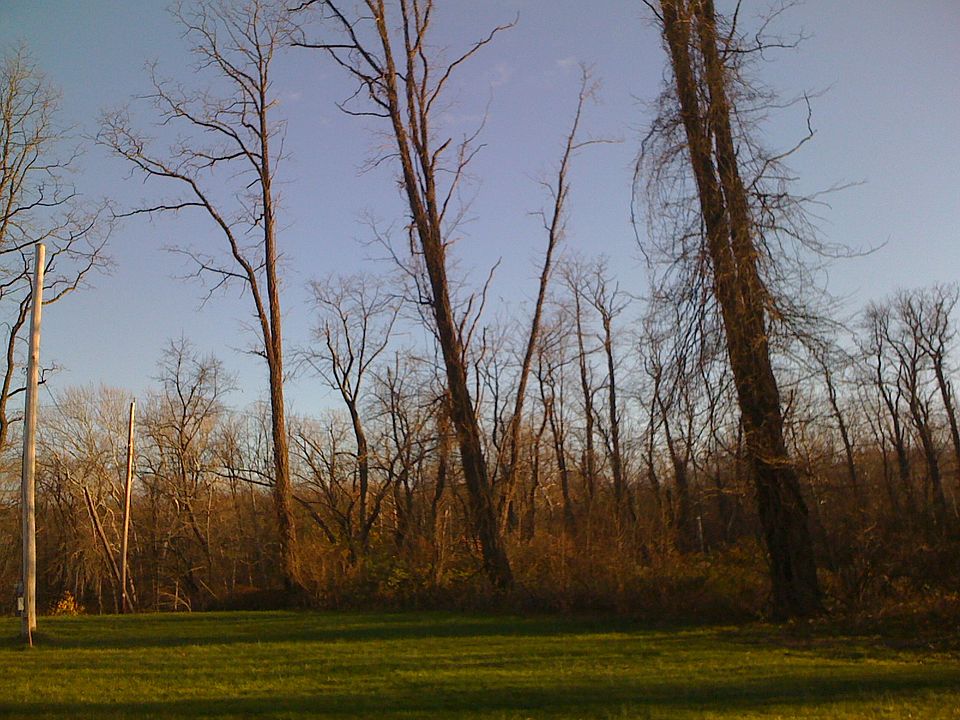 2nd image of 8 Creekside Dr
