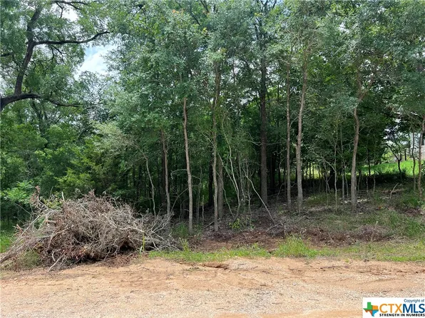 111 W Kikipua Ln, Bastrop, TX 78602