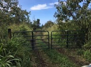 LOT Three #A, Captain Cook, HI 96704