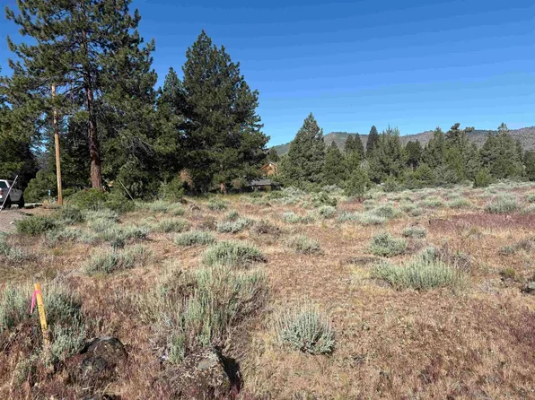 364 Wrangler Dr, Loyalton, CA 96118