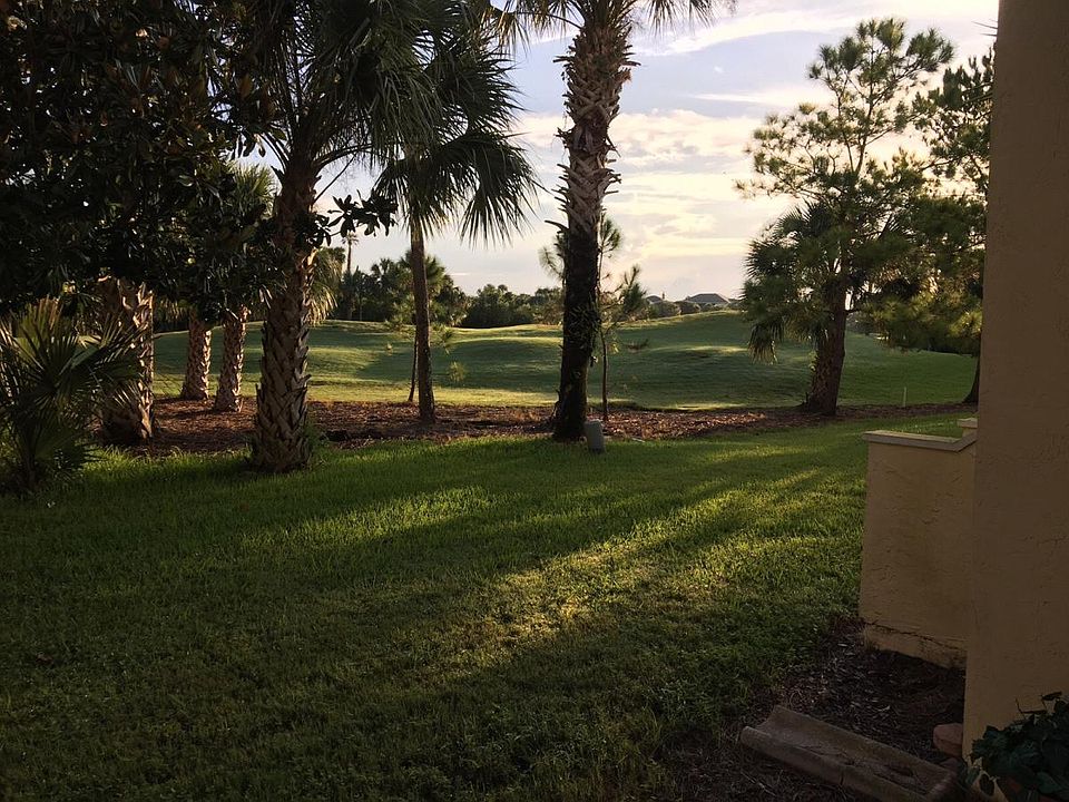 Patio Backyard view