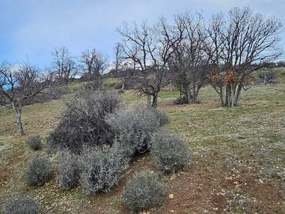 LOT 215 Rainbow St, Hornbrook, CA, 96044