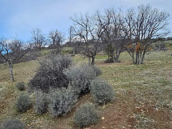 LOT 215 Rainbow St, Hornbrook, CA 96044