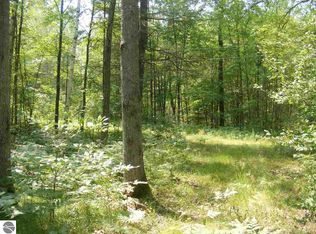 V/l S Mackinaw Trl, Cadillac, MI 49601