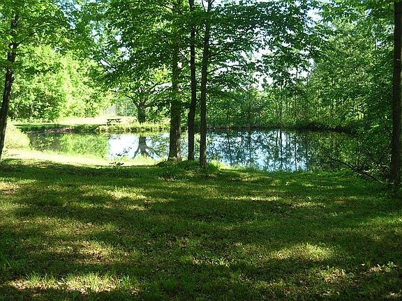 4th image of 283 Scenic View Dr
