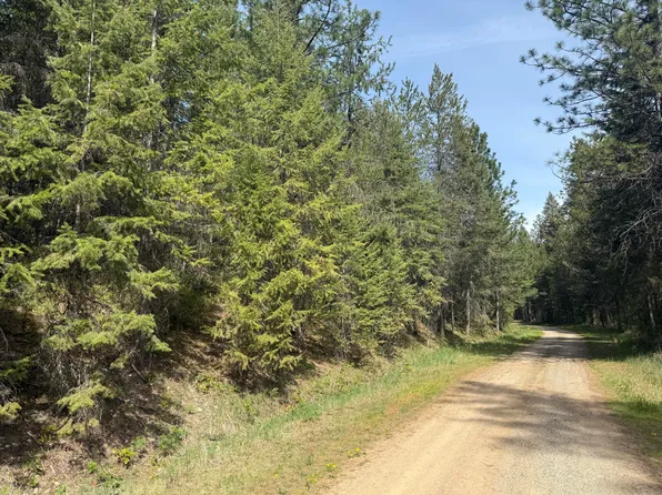 67 First Thought Loop, Laurier, WA 99146