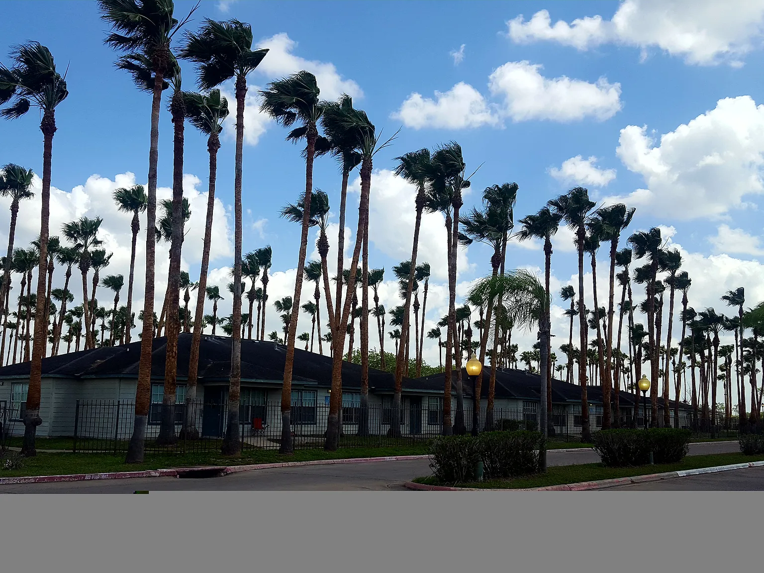 La Herencia Apartments — Photo 3
