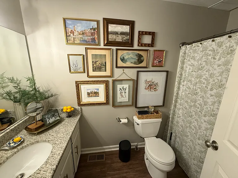 3765 Blairs Valley Way — Photo 10