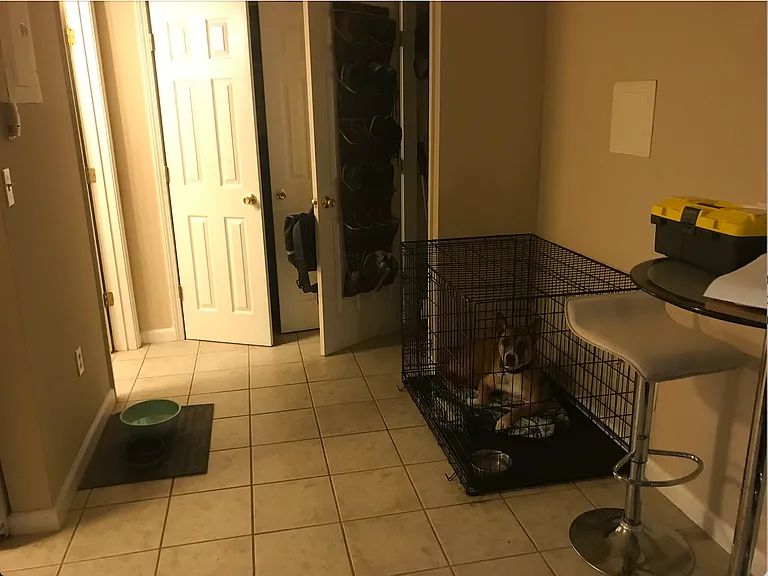 4334 Maryland Ave #201 — Photo 6