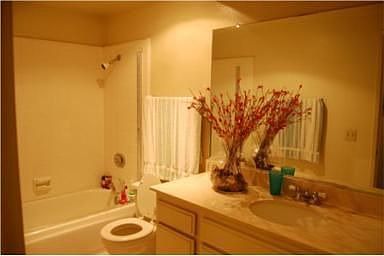3rd image of 1974 E Lynwood Dr APT 13D