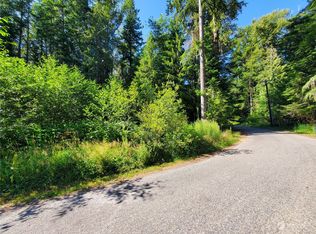 55602 317th Ave E, Ashford, WA