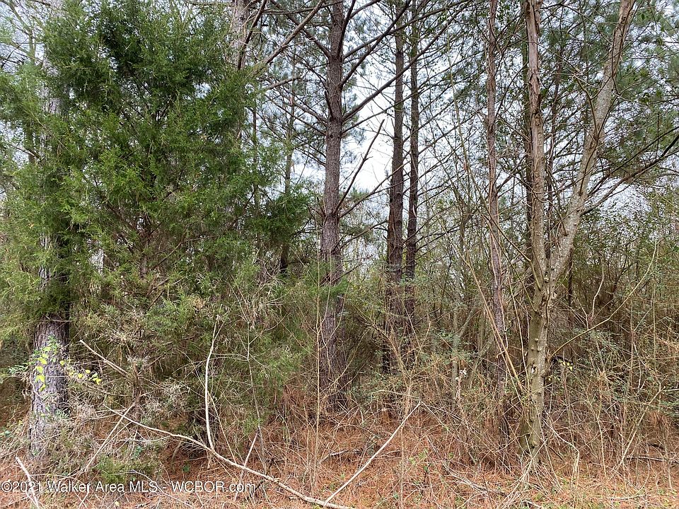 2nd image of 2579 Red Rock Dr