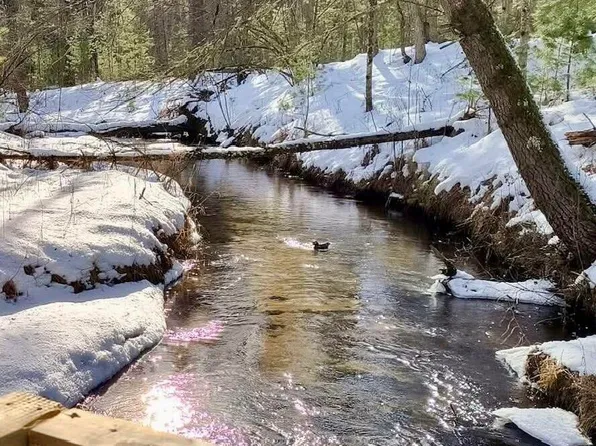 3833 E Creek Wood Dr, Chase, MI 49623