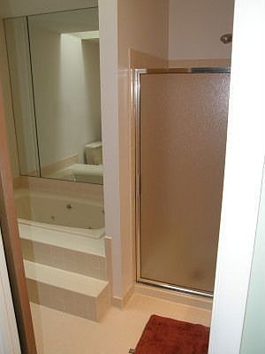 Master bath with sunken jetted tub and shower