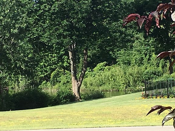 View of small lake across the street