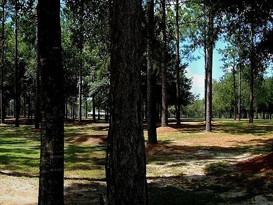 1st image of 32551 Timber Hill Dr