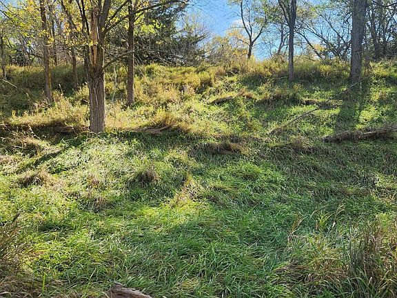 3rd image of 10430 S 33rd St