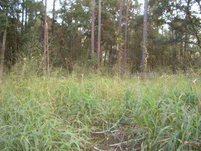 5TH St, Deland, FL, 32724