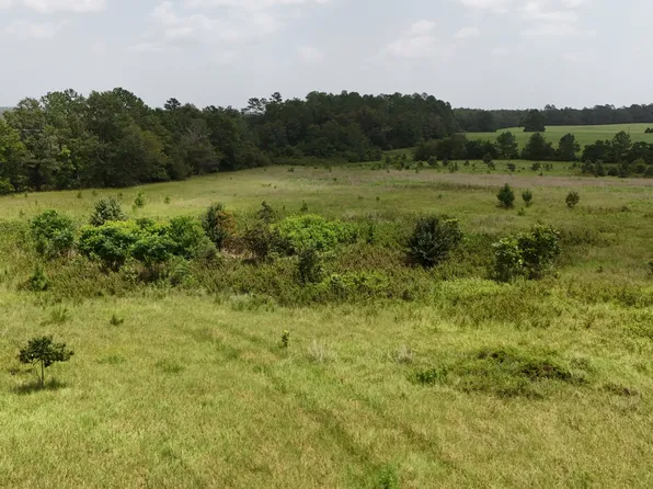 0 Gordon McIntyre Rd, Gordon, GA 31031