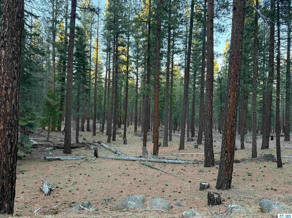 0 Grey Eagle Ln, Susanville, CA 96130