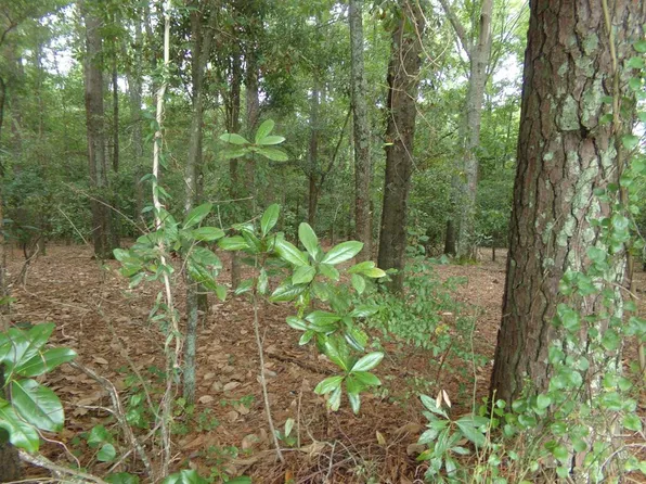 58 Harrell Rd, Sumter, SC 29150