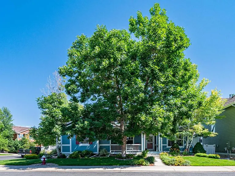 4220 Ravenna Pl — Photo 2