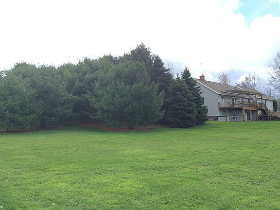 Grove of trees to the north