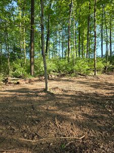 11965 Stone Mill Rd, Cincinnati, OH, 45251