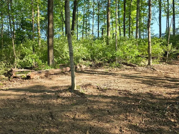 11965 Stone Mill Rd, Cincinnati, OH 45251