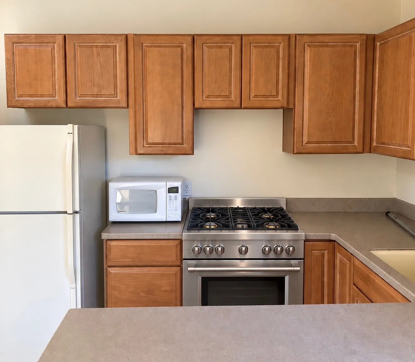 2 bed, 700 sqft, $3,500 — Photo 2