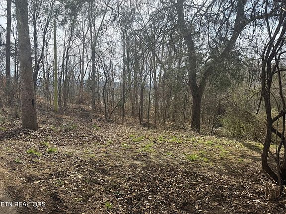 4th image of Straight Branch Rd