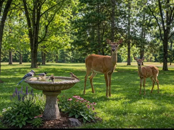 3212 Bunker Lake Blvd NE, Ham Lake, MN 55304